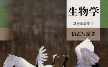 初二生物教师工作总结8篇