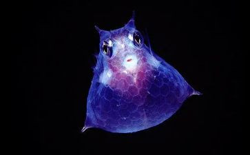 初二生物教学教师工作总结5篇