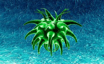 生物学期教学总结7篇