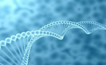 2022生物教学工作计划8篇