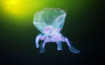 高中生物教师年度个人总结7篇