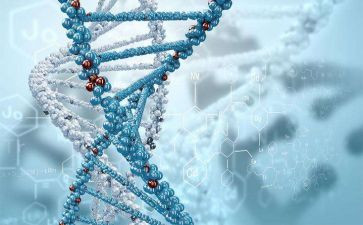 做生物实验的心得模板5篇
