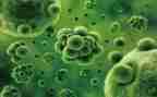 生物的进化教案7篇