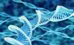 高中生物上学期工作计划5篇