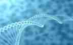 生物安全管理自查报告6篇