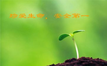 班级安全教育教案6篇