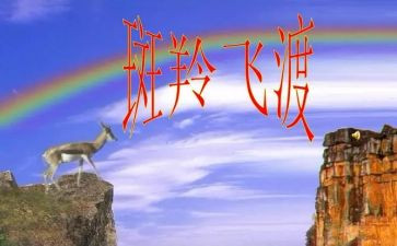 读了斑羚飞渡的读后感精选7篇