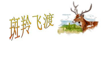 读了斑羚飞渡的读后感通用7篇