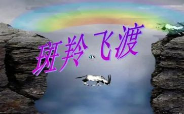 斑羚飞渡的读后感模板7篇