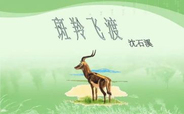 斑羚飞渡的读后感8篇