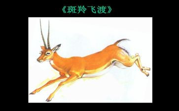 读了斑羚飞渡的读后感6篇