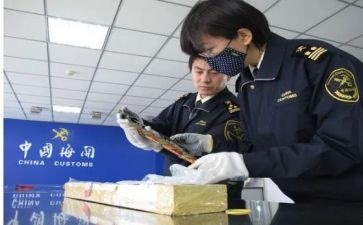 报关个人总结8篇