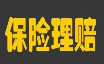 保险公司2023工作总结通用5篇