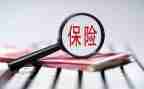 保险公司年度总结参考5篇