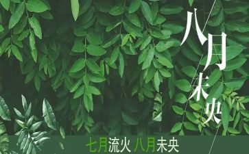 八月份的工作总结通用7篇
