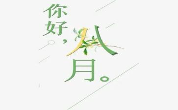 八月份个人工作总结6篇