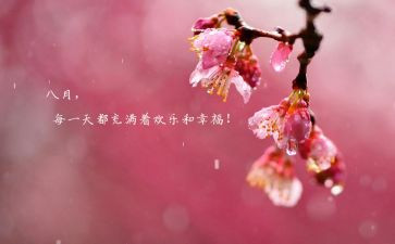 销售八月总结5篇