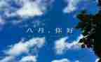 八月份的工作总结7篇