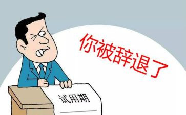 个人项目工作报告5篇