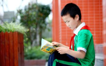 2022年中班学期教学计划8篇