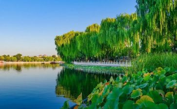 2023保险年终工作总结8篇