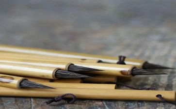 笔心得体会模板7篇