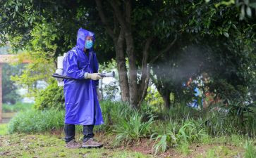 学校病媒生物工作计划5篇