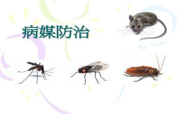 2023舞蹈课工作计划优质8篇