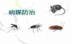 2023年企业部门工作总结报告5篇