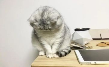 一件不开心的事作文8篇