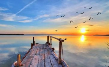 不一样的优秀作文6篇