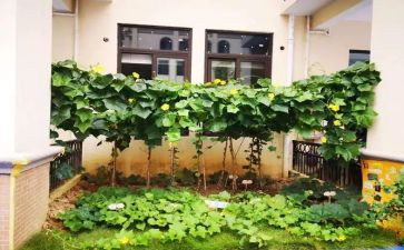 炒菜的作文8篇