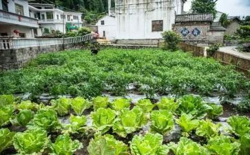 湘菜学校培训心得推荐5篇