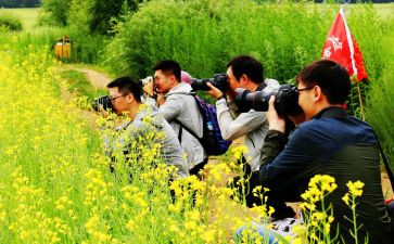 中国节日的作文最新6篇