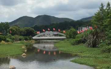 2023外贸年终总结8篇