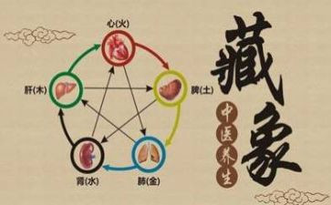 2023年中心小学工作计划5篇