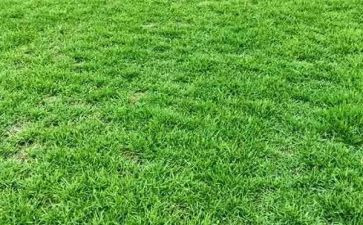 参观蒙草基地心得体会6篇