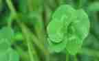 稻草读后感400字6篇