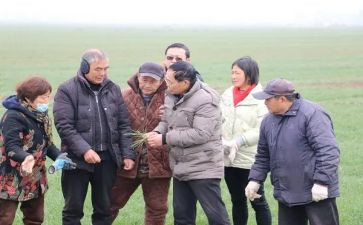 119活动策划总结6篇
