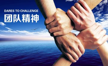 公司营销策划方案5篇