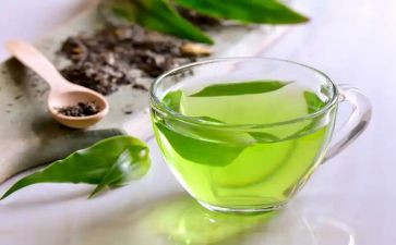 茶培训计划5篇