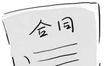 与书有关的作文800字模板8篇