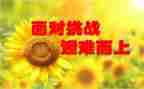 那一次的尝试作文通用8篇