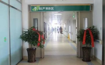 产科护理站工作计划优质6篇