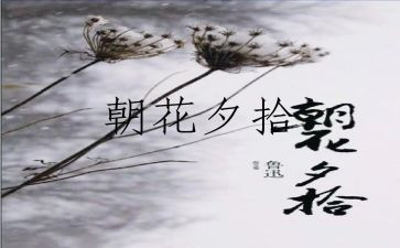 2023教师演讲稿通用8篇