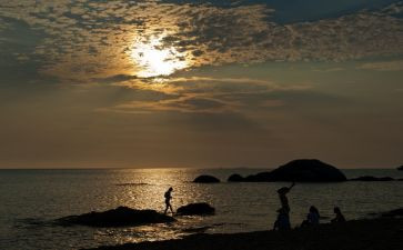 朝夕拾花读后感五百字6篇