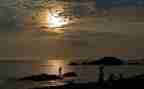 朝夕拾花读后感五百字6篇