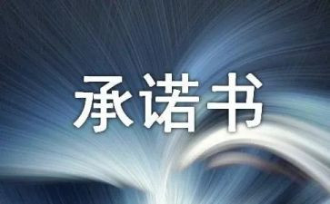 学生个人安全承诺书6篇