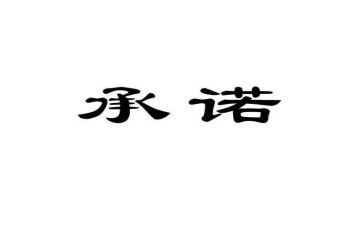 施工消防安全承诺书8篇