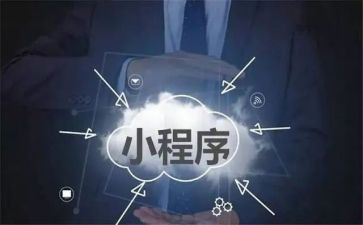 程序组的工作总结模板5篇